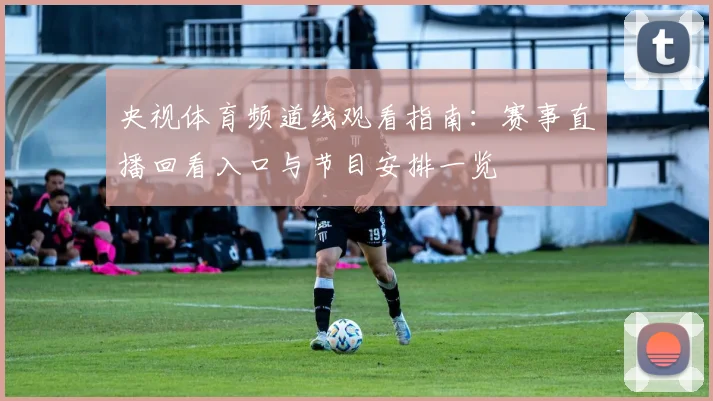 央视体育频道线观看指南：赛事直播回看入口与节目安排一览