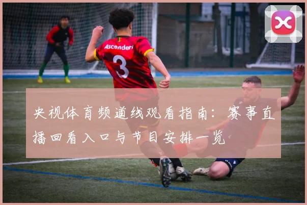 央视体育频道线观看指南：赛事直播回看入口与节目安排一览