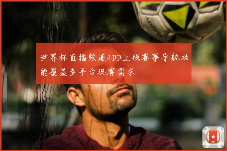 世界杯直播频道app上线赛事导航功能覆盖多平台观赛需求