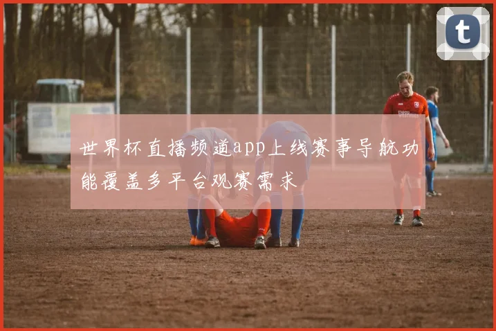 世界杯直播频道app上线赛事导航功能覆盖多平台观赛需求