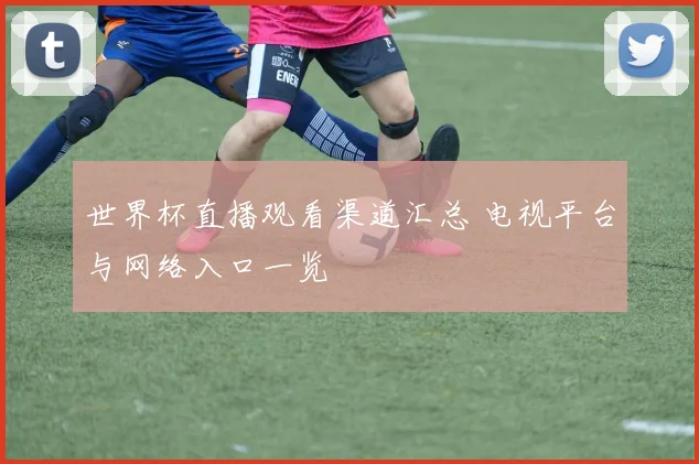 世界杯直播观看渠道汇总 电视平台与网络入口一览