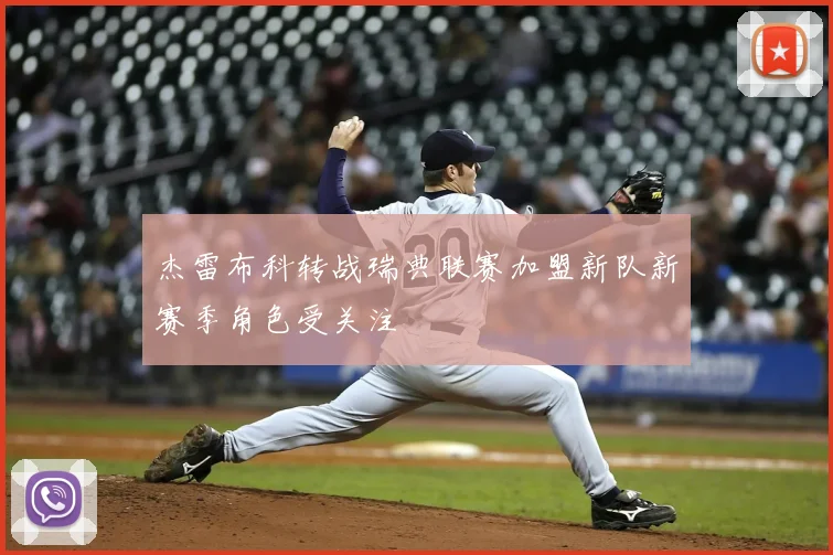杰雷布科转战瑞典联赛加盟新队新赛季角色受关注